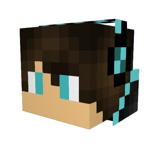 Thunderwaver Minecraft avatar head, 3D render