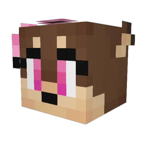 ThurmanOkami Minecraft avatar head, 3D render