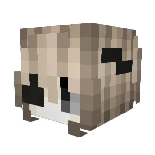 ThuyHa Minecraft avatar head, 3D render