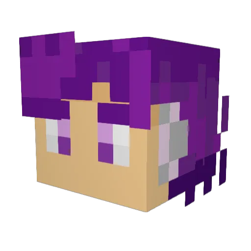 ThyMr707 Minecraft avatar head, 3D render