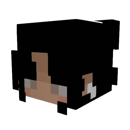 ThyTrippyTurtle Minecraft avatar head, 3D render