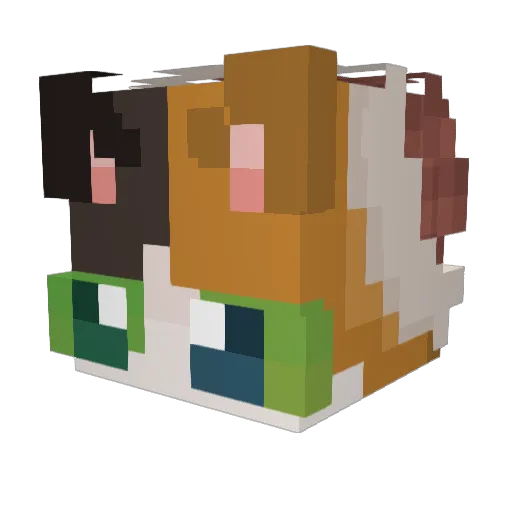 Thyust Minecraft avatar head, 3D render