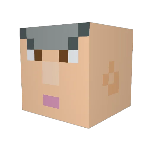 Ti1or Minecraft avatar head, 3D render