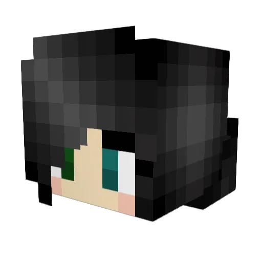 TiE23 Minecraft avatar head, 3D render
