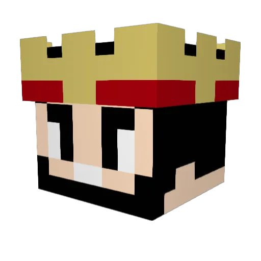 TiGReGO Minecraft avatar head, 3D render