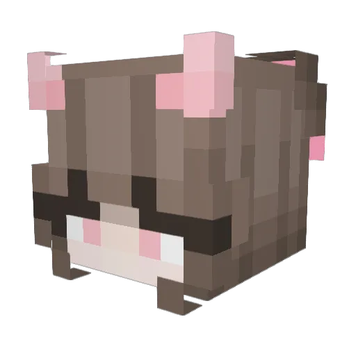 TiJo07 Minecraft avatar head, 3D render