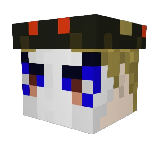 TiKTaK11 Minecraft avatar head, 3D render
