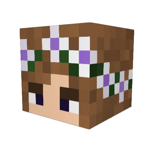 TiLLiE_XD Minecraft avatar head, 3D render