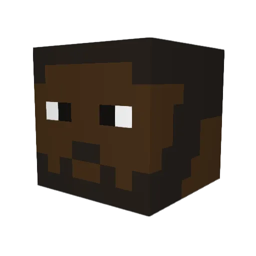 TiM0ww Minecraft avatar head, 3D render