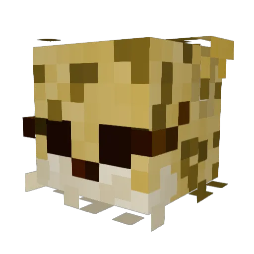 TiMiD_TvT Minecraft avatar head, 3D render