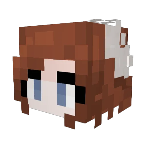TiNiT Minecraft avatar head, 3D render