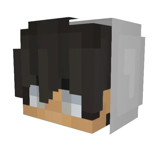 TiNo_YT456 Minecraft avatar head, 3D render