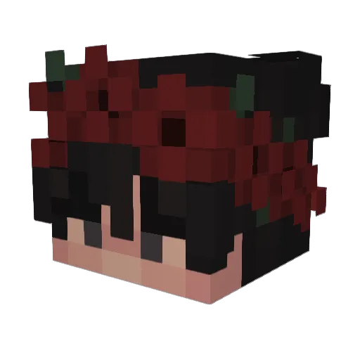 TiPrince14 Minecraft avatar head, 3D render