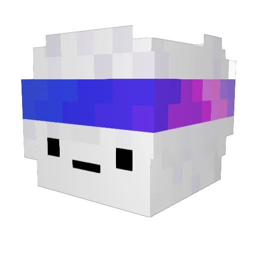 TiShokerr Minecraft avatar head, 3D render