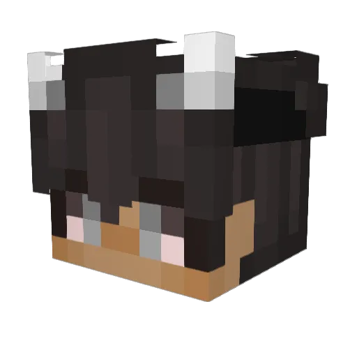 TiToOZ77 Minecraft avatar head, 3D render