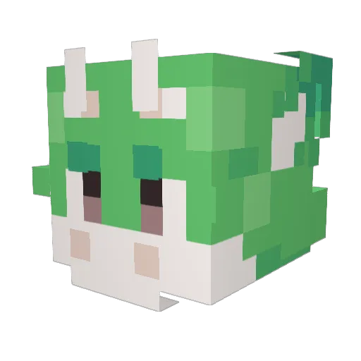 TiaBookdragon Minecraft avatar head, 3D render