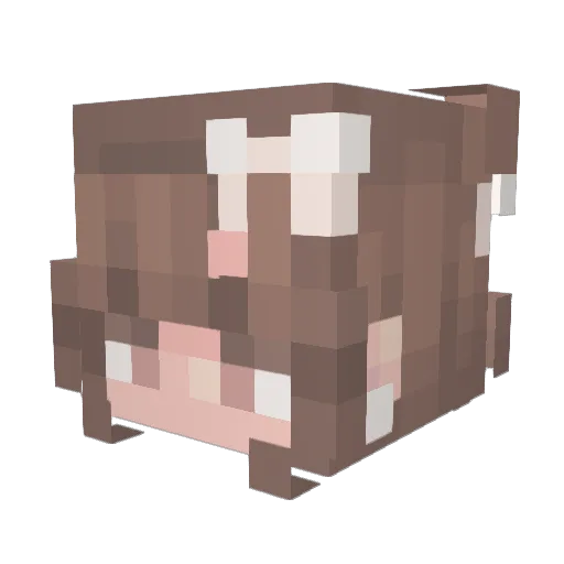 TiaTheGamer Minecraft avatar head, 3D render