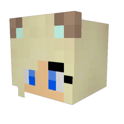 TiaTime01 Minecraft avatar head, 3D render