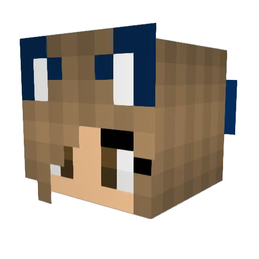 TiaWilson28 Minecraft avatar head, 3D render