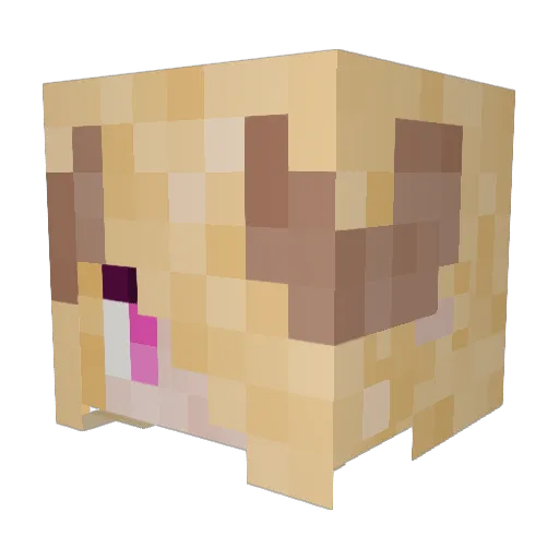 Tia_ZohTTV Minecraft avatar head, 3D render