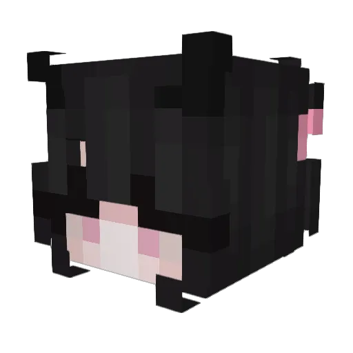Tiaa666 Minecraft avatar head, 3D render