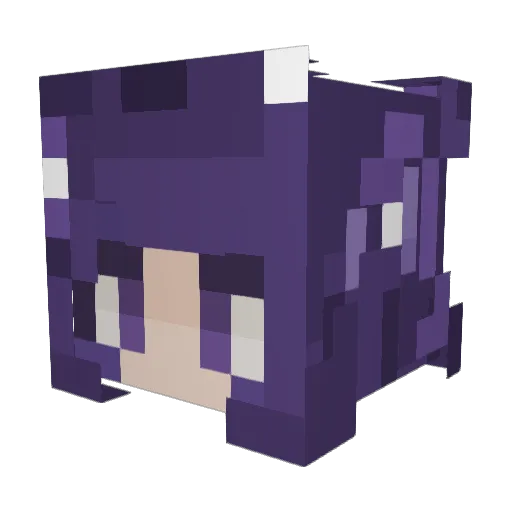 TiagoJacuba Minecraft avatar head, 3D render