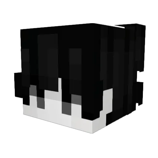 TiagoT4NK Minecraft avatar head, 3D render