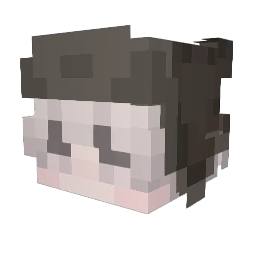 Tiago_02 Minecraft avatar head, 3D render