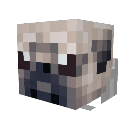 Tiago_Games Minecraft avatar head, 3D render
