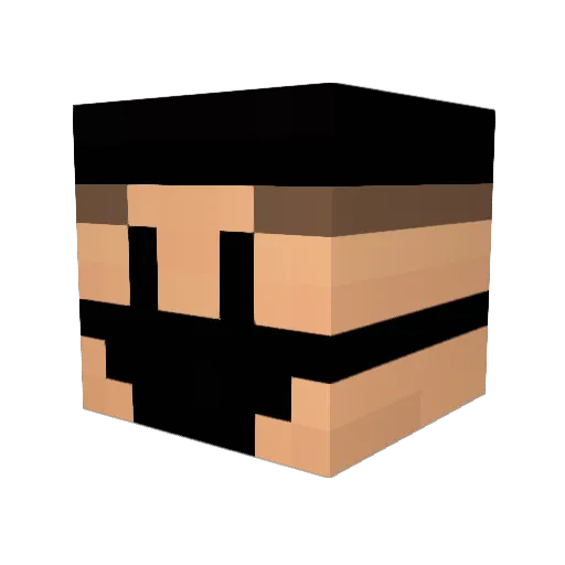 Tiagotime360 Minecraft avatar head, 3D render