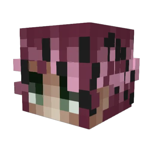 Tiaguitos312 Minecraft avatar head, 3D render