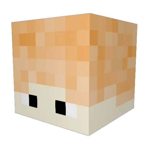 Tiam21 Minecraft avatar head, 3D render