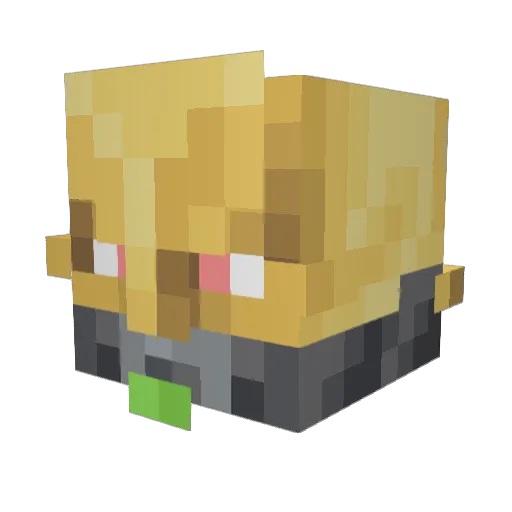 TianRun Minecraft avatar head, 3D render