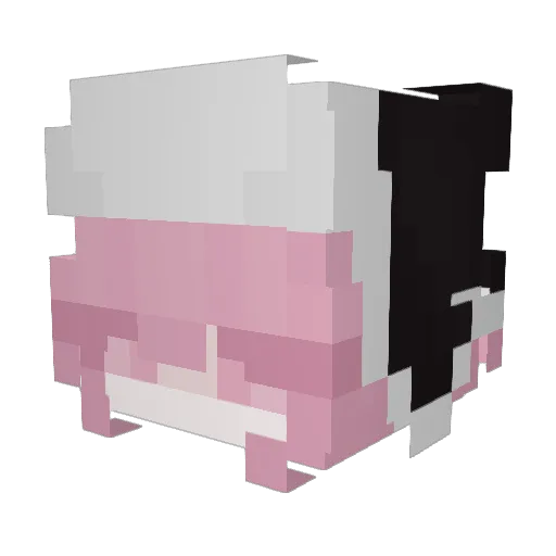TianShi1212 Minecraft avatar head, 3D render