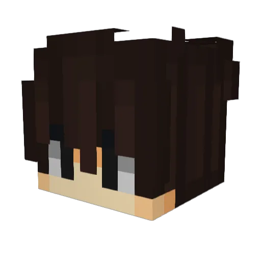 TianTianTian666 Minecraft avatar head, 3D render