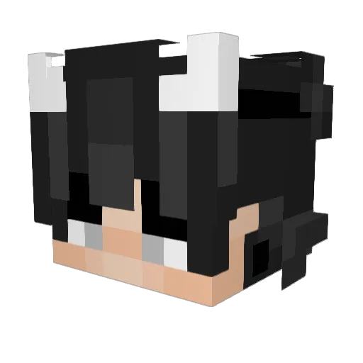 Tian_He_i Minecraft avatar head, 3D render