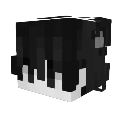 Tian_Lan Minecraft avatar head, 3D render