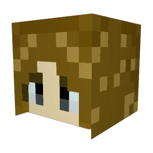 Tian_Quan_18 Minecraft avatar head, 3D render