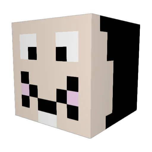 Tiandino20 Minecraft avatar head, 3D render