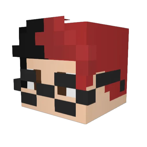 Tiann1 Minecraft avatar head, 3D render