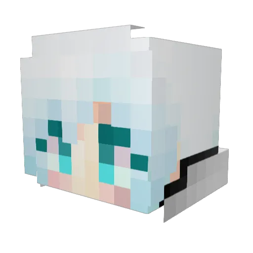 Tiannn_ Minecraft avatar head, 3D render