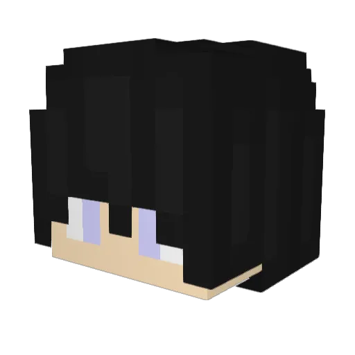 Tiansan1314 Minecraft avatar head, 3D render