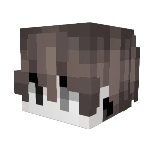Tianxxxxxuan Minecraft avatar head, 3D render