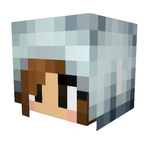 Tiany_S Minecraft avatar head, 3D render