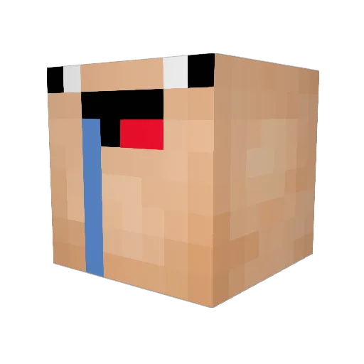Tianzun01 Minecraft avatar head, 3D render