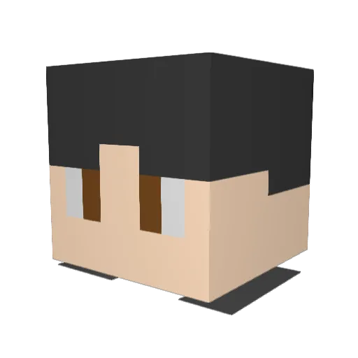 Tiao114 Minecraft avatar head, 3D render