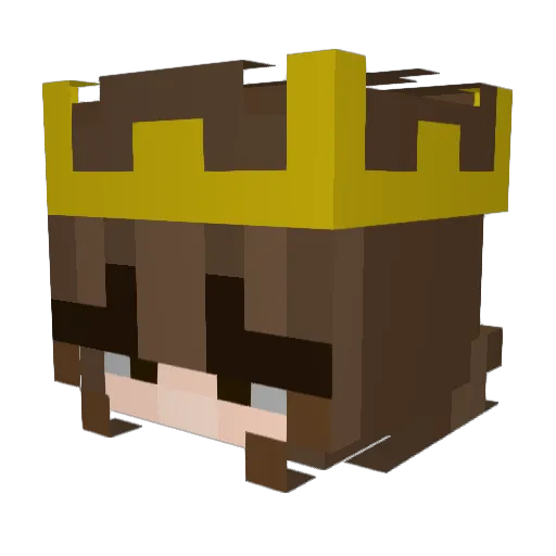 Tibby_hoad7 Minecraft avatar head, 3D render