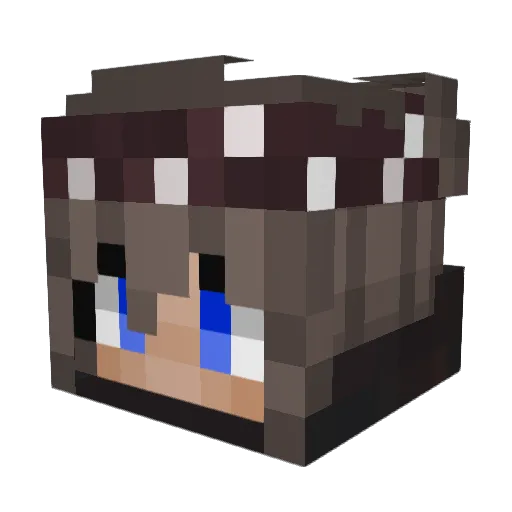Tibi03 Minecraft avatar head, 3D render