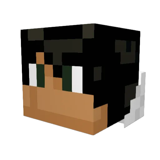 Tibi960 Minecraft avatar head, 3D render