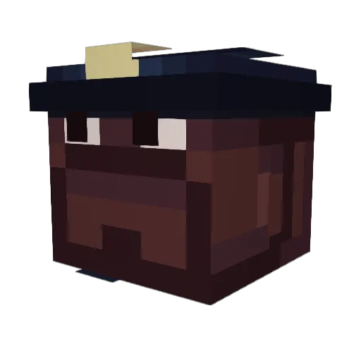 Tiburondiver Minecraft avatar head, 3D render